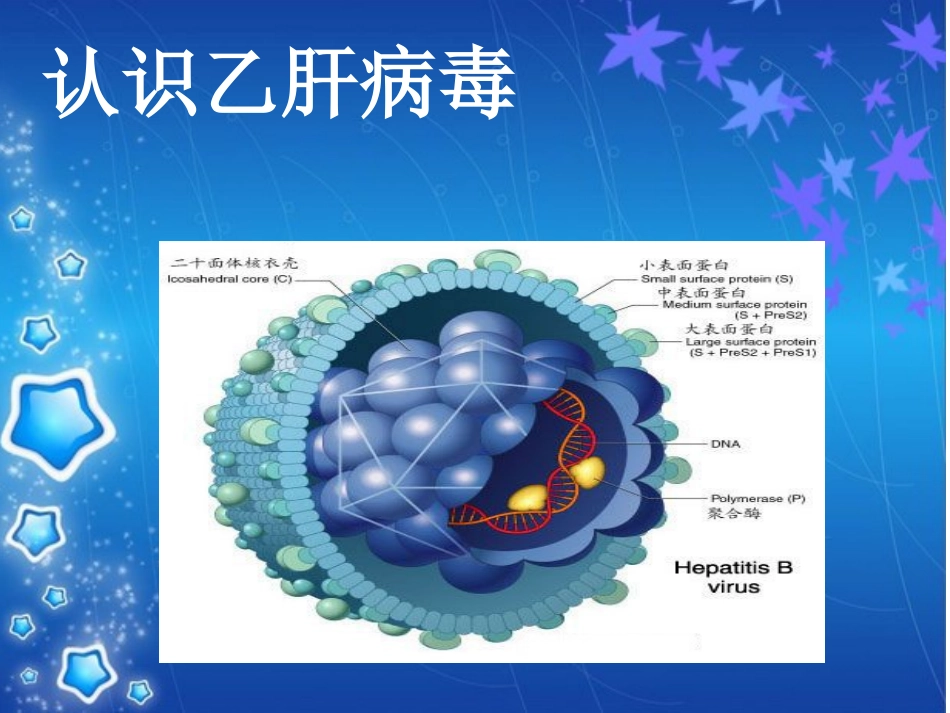 乙型肝炎母婴阻断新理念_第2页