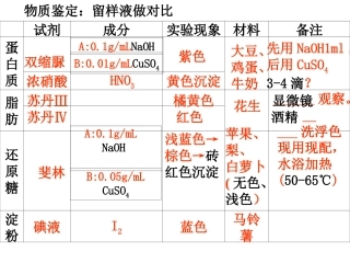 生物必修一蛋白质