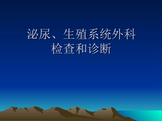 泌尿系统检查