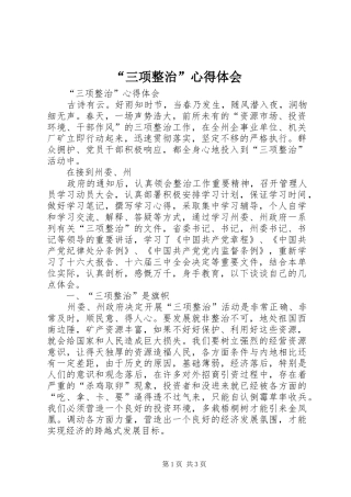 “三项整治”心得体会