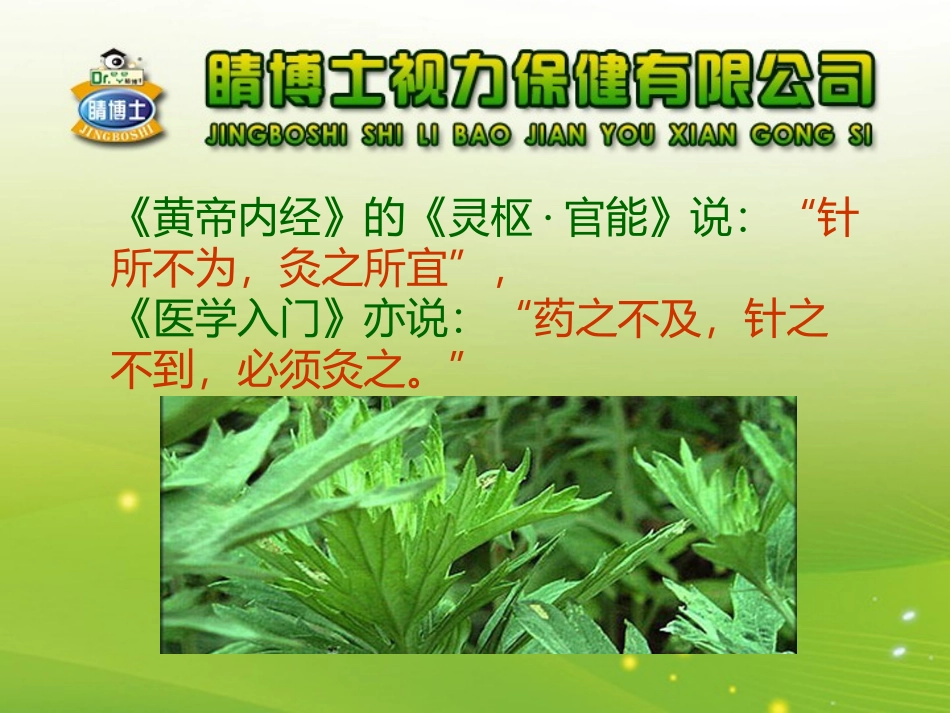 艾灸产品讲解PPT_第3页