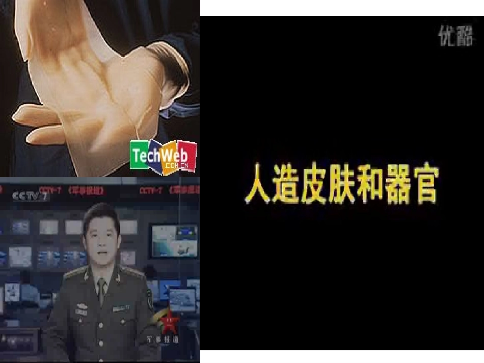 动物细胞工程(优质课)_第2页