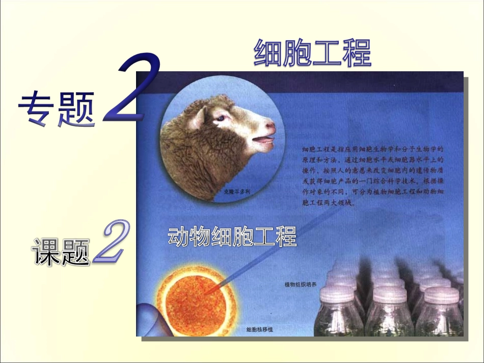动物细胞工程(优质课)_第3页