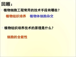 动物细胞工程(优质课)