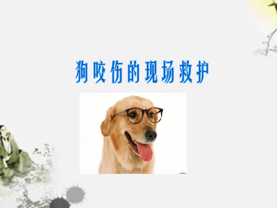常见动物(昆虫)咬、蛰伤应急救护-改_第3页