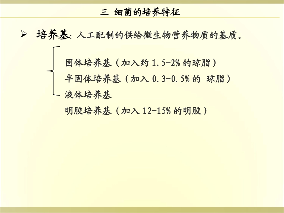 第二章 细菌(2)_第1页