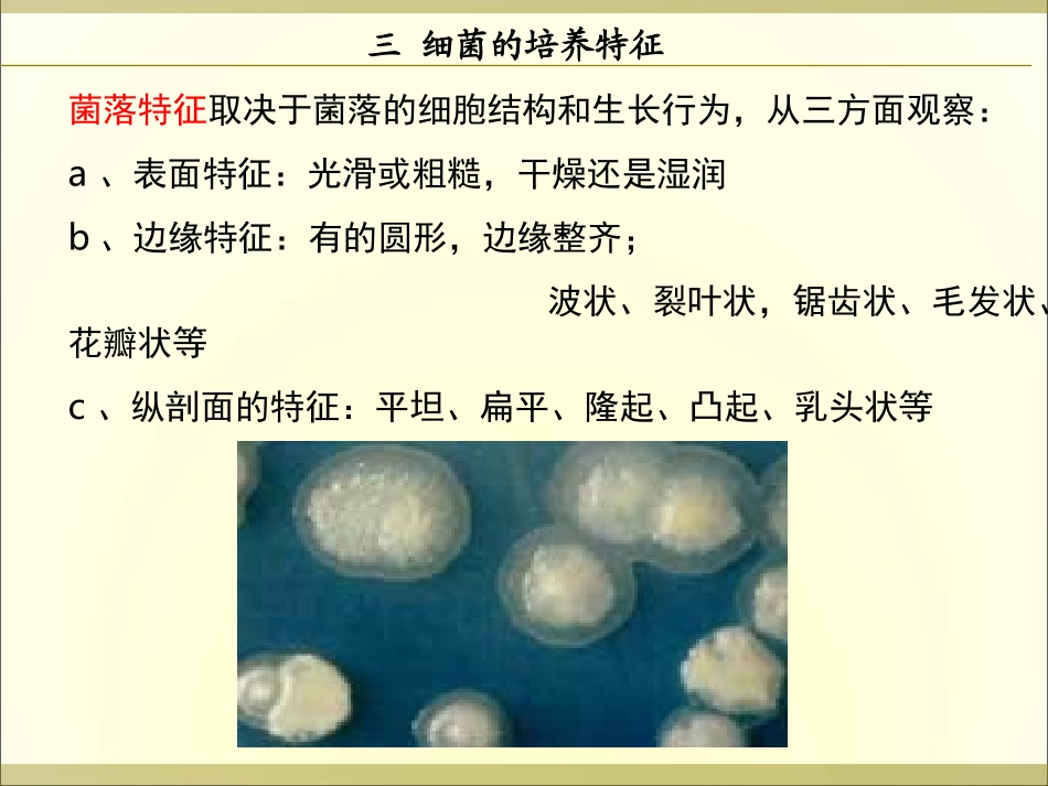 第二章 细菌(2)_第3页