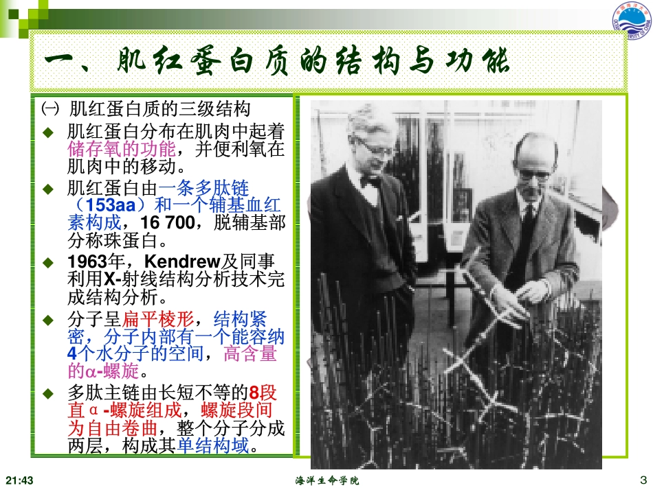 第七章蛋白质结构与功能_第3页