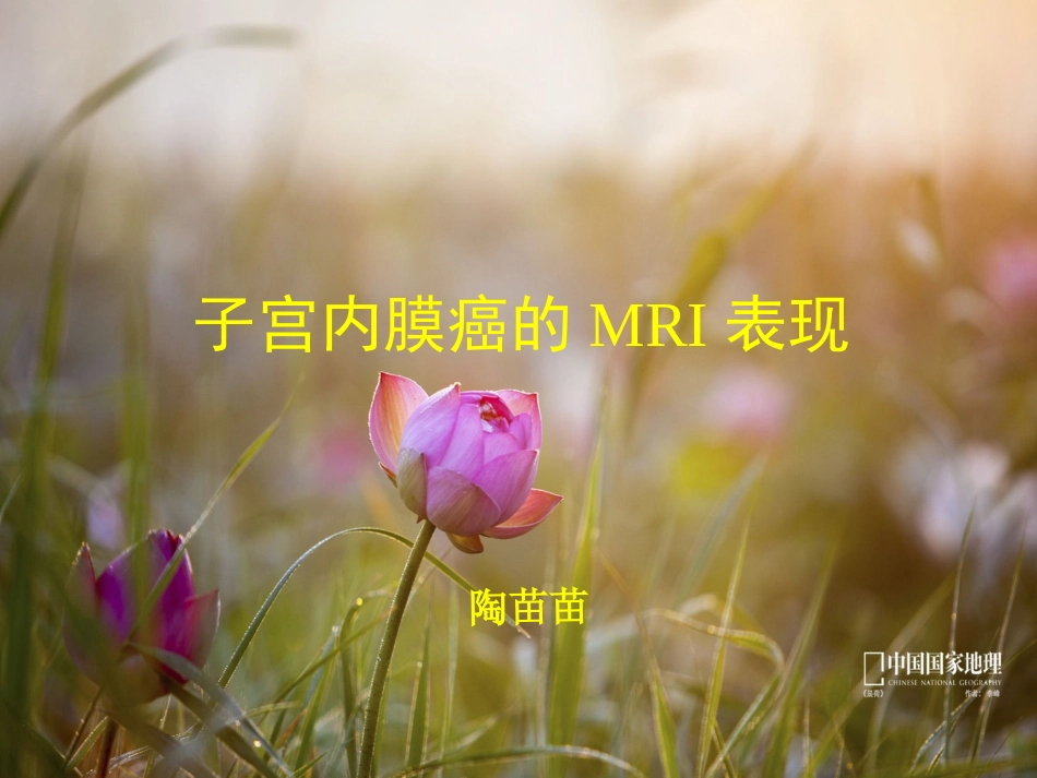 子宫内膜癌MRI影像表现_第1页