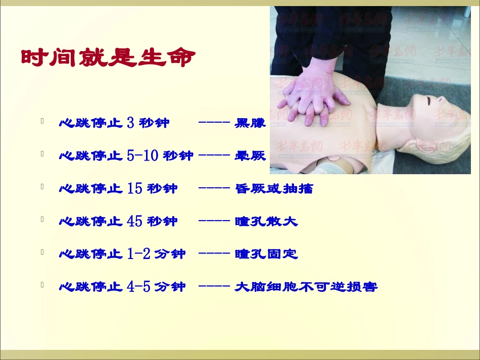 最亲近的人心脏骤停了怎么办——心肺复苏_第3页