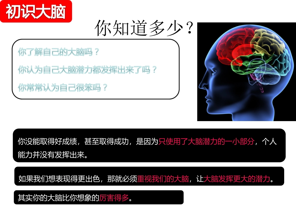 大脑思维导图_第3页