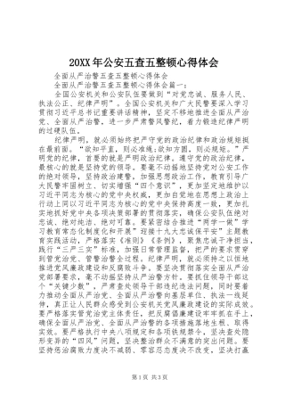 20XX年公安五查五整顿心得体会_2