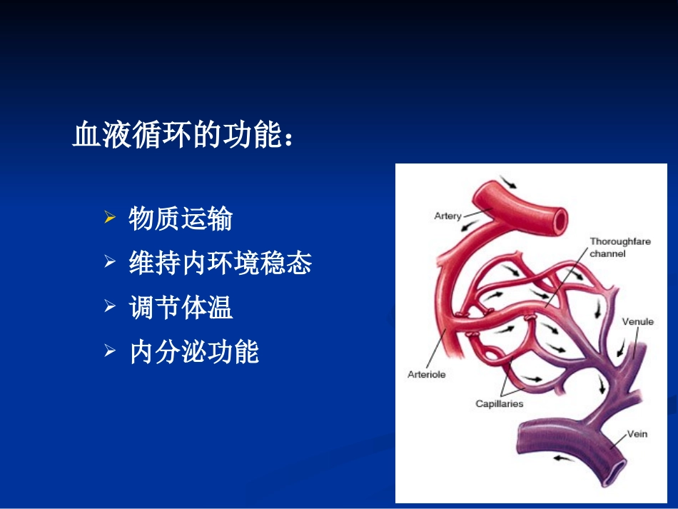 动物生理学 血液循环_第3页