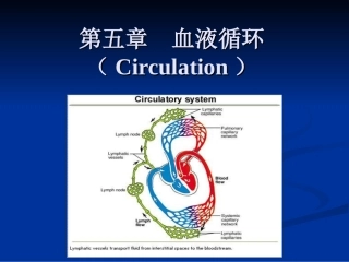动物生理学 血液循环