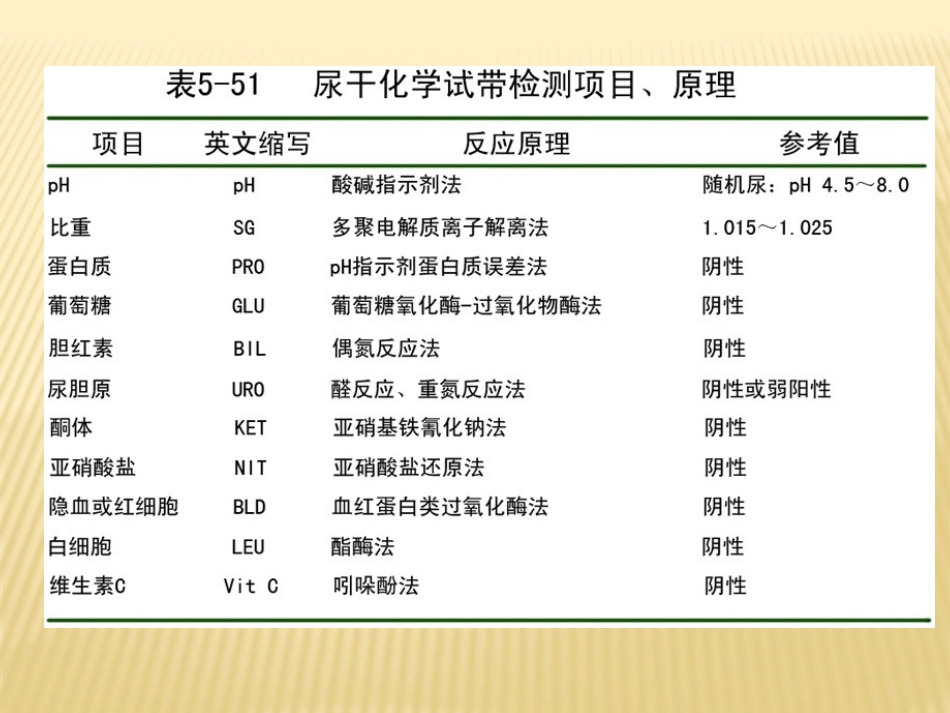 尿液常规检查详细版_第3页