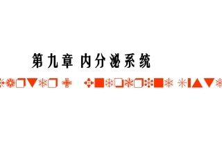 【组胚】9.内分泌系统