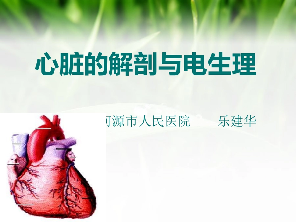 心脏电生理--_第1页