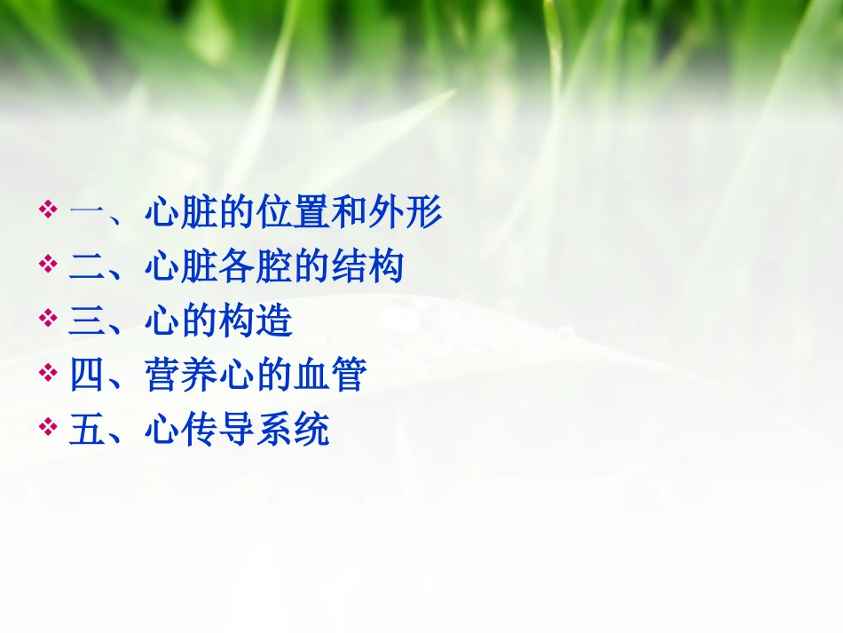 心脏电生理--_第2页