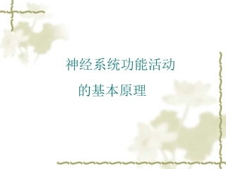 神经系统功能活动的基本原理