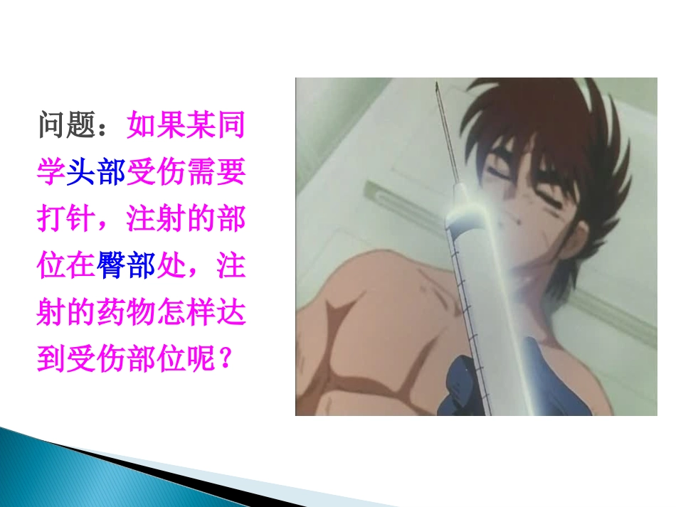 苏教版-七年级-第10章-第二节--人体的血液循环PPt_第2页