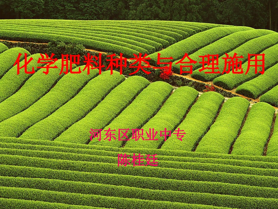 化肥的种类和合理施用_第1页