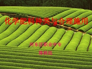 化肥的种类和合理施用