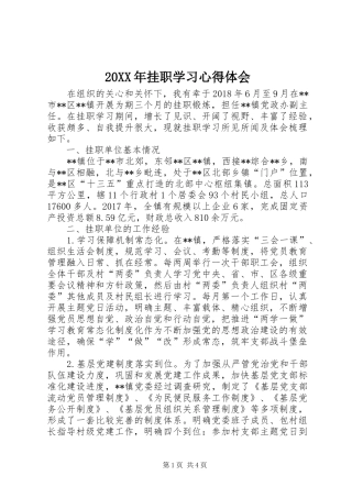 20XX年挂职学习心得体会