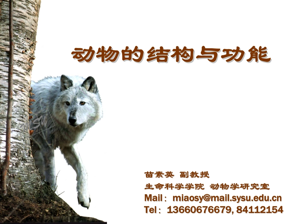 动物的结构与功能(学生)_第1页