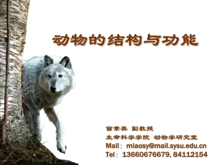动物的结构与功能(学生)