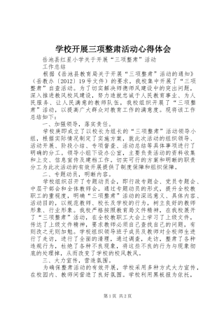 学校开展三项整肃活动心得体会