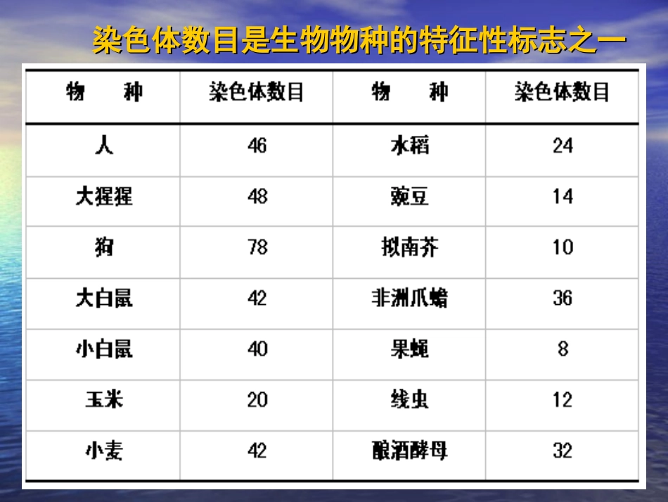染色质与染色体_第2页