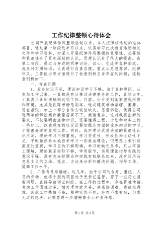 工作纪律整顿心得体会