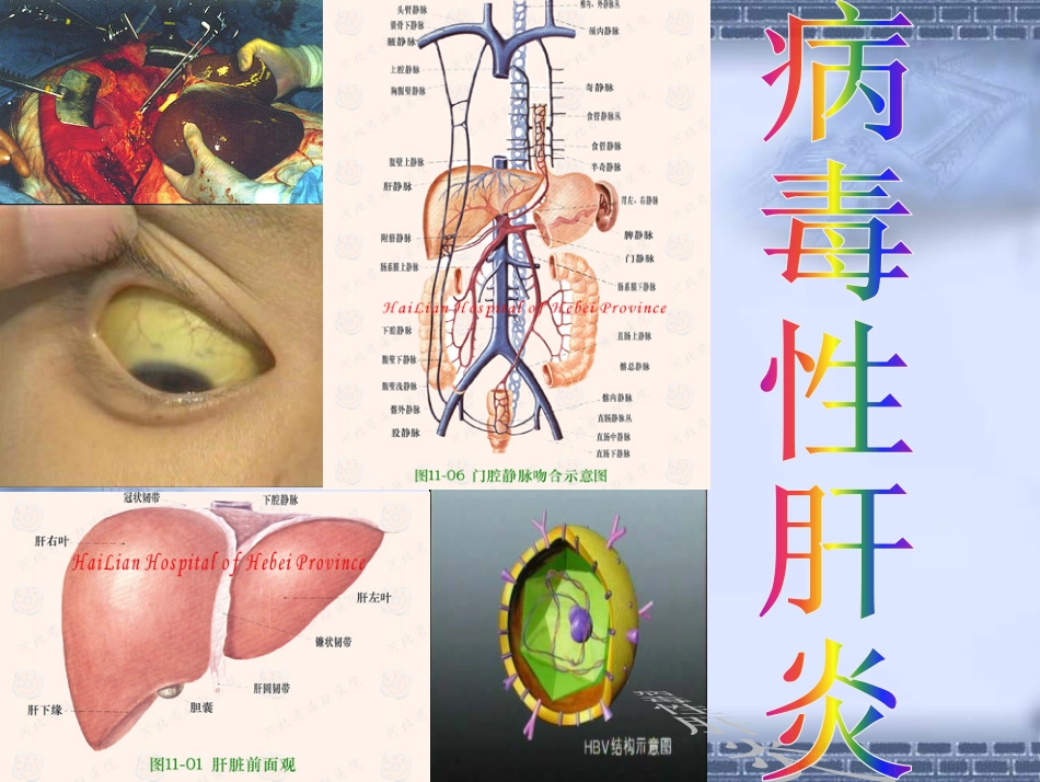 肝炎07.6.1_第1页
