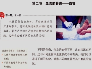 新教材-血流的管道血管-佛山谢永红