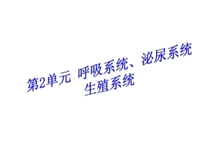 呼吸、泌尿系统和男性生殖系统