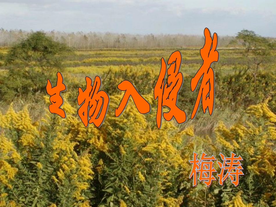 生物入侵者(1)_第3页