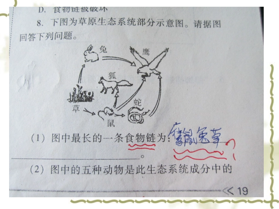 食物网与食物链20131023_第2页