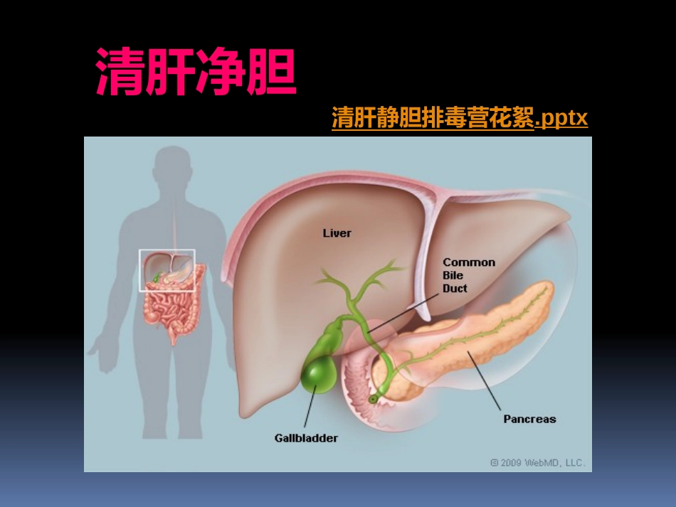 为什么要排肝毒new_第1页