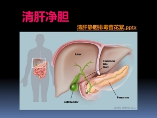 为什么要排肝毒new