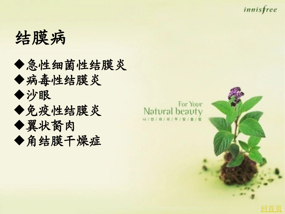 第三讲 结膜病人的护理_第2页