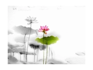 精品语文课件模板98张