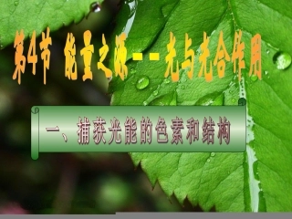 捕获光能的色素和结构