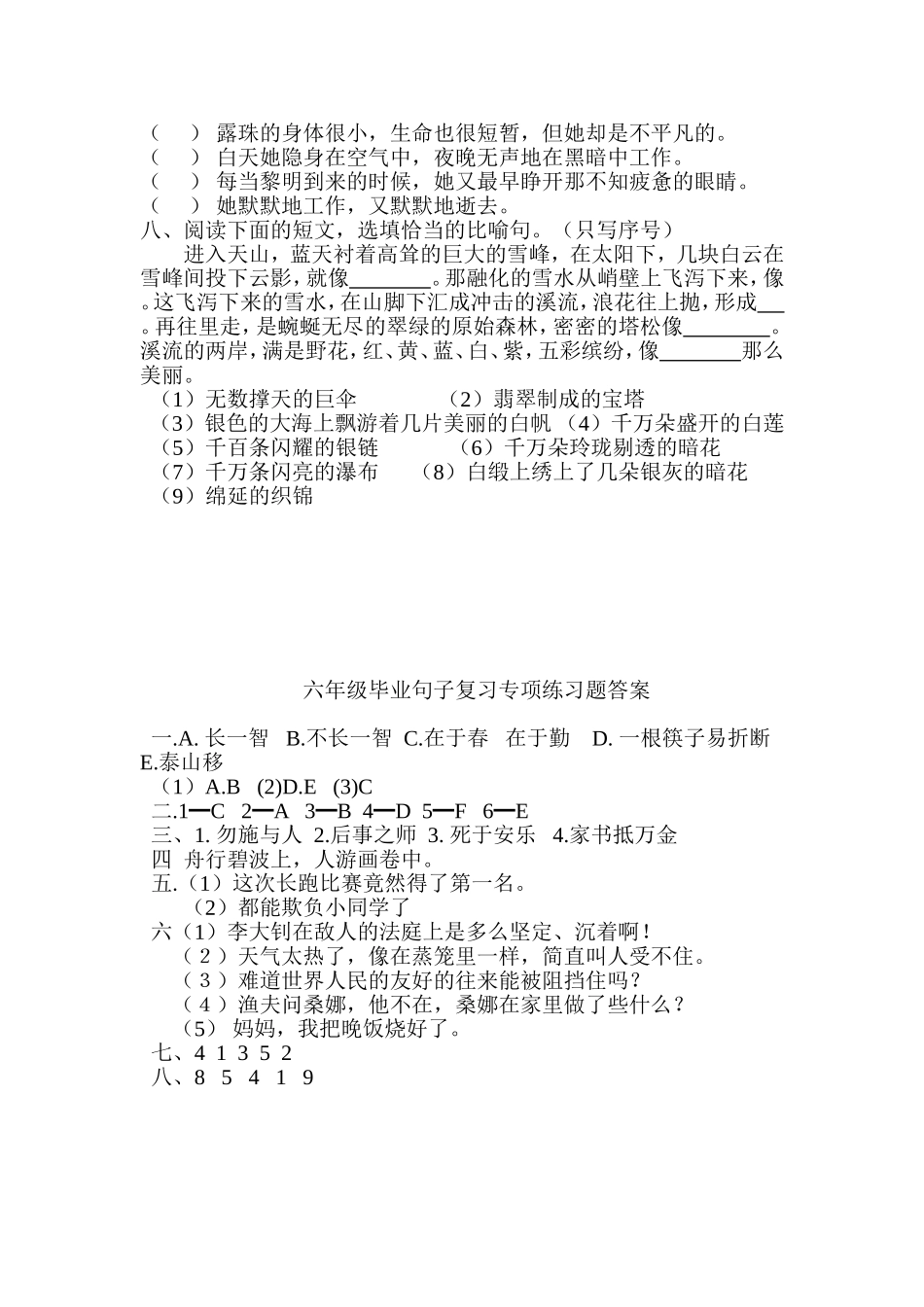 六年级毕业句子复习专项练习题_第2页