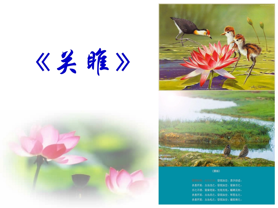 《关雎》《蒹葭》精品课件[1]_第2页