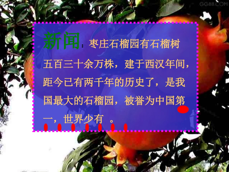 苏教版三上语文16石榴课件_第3页