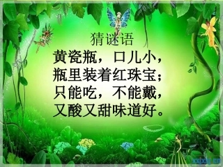 苏教版三上语文16石榴课件