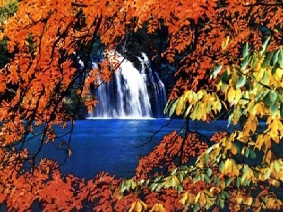 秋天的图画PPT_第2页