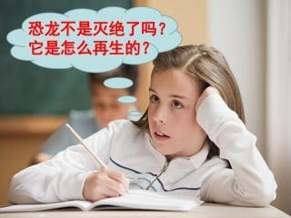 奇妙的科隆 (2)