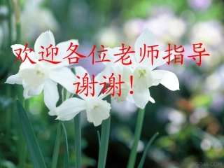 人类让地球变得伤痕累累