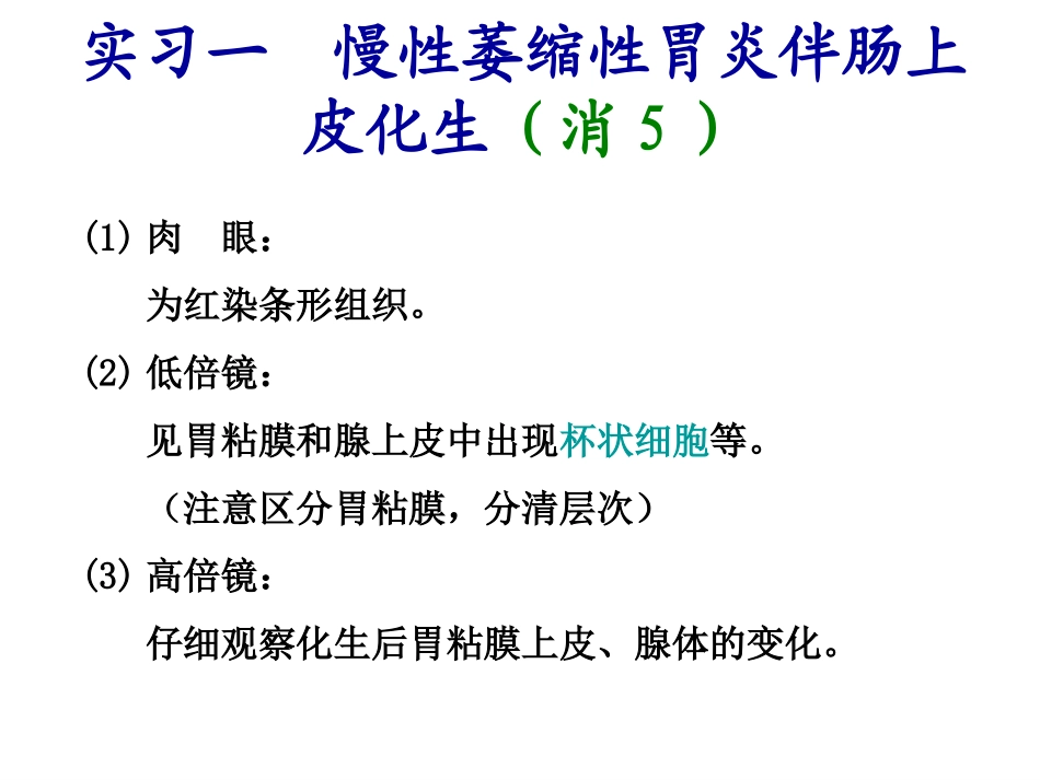 泸州医学院病理切片(全)_第1页